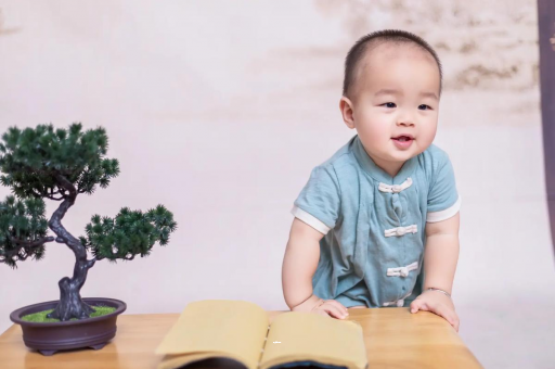 供卵试管代怀生子费用可爱的企鹅宝宝